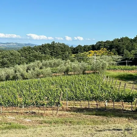 Il Poderuccio La Toscana Che Rimane Nel Cuore 펜션