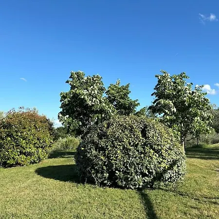 Il Poderuccio La Toscana Che Rimane Nel Cuore