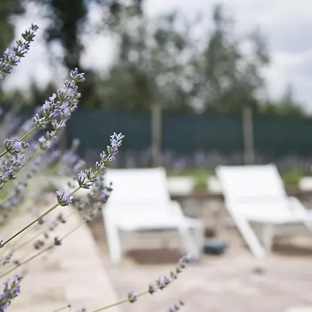 Il Poderuccio La Toscana Che Rimane Nel Cuore Vakantiehuis
