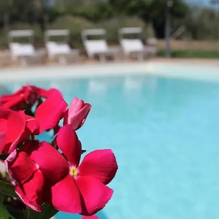 Il Poderuccio La Toscana Che Rimane Nel Cuore Vakantiehuis